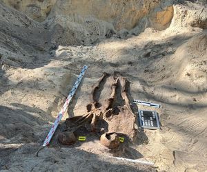 Szczątki co najmniej 18 osób na terenie jednostki wojskowej w Rembertowie. Wiadomo, kim mogą być ofiary