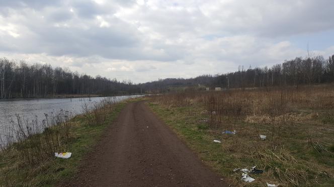 Co dalej z rozlewiskiem Potoku Bielszowickiego w Bykowinie? Mieszkańcy narzekają na zapachy