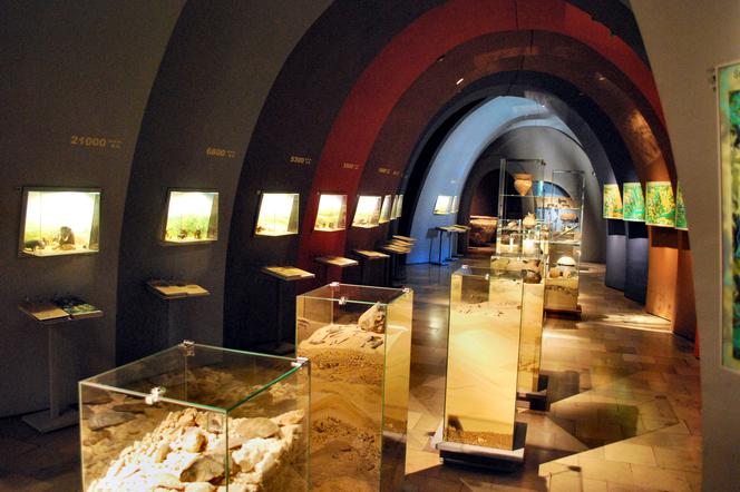 Muzeum Archeologiczne w Krakowie kończy 170 lat!