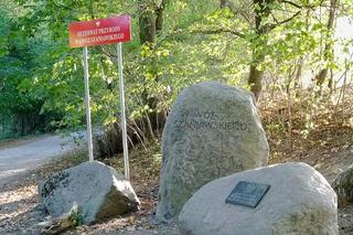 Wąwóz Szaniawskiego