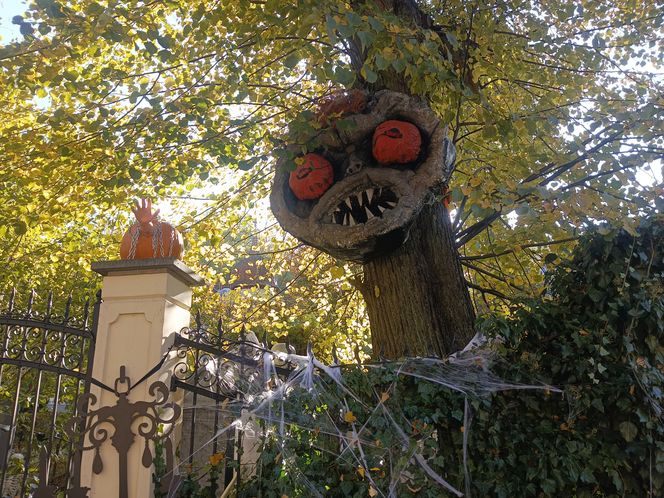 Willa na Jaśkowej Dolinie w Gdańsku znów straszy! Tegoroczny motyw Halloween budzi niepokój