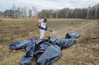   Kilkaset martwych kur. Makabryczne znalezisko w lesie koło Napierek