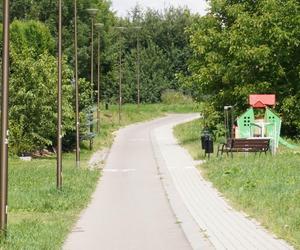 Wakacyjny spacer pod kładką nad wąwozem na Czubach. To jedno z najbardziej zielonych miejsc w Lublinie!