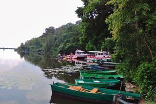 Zarzeczewo pod Włocławkiem