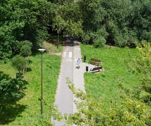 Wakacyjny spacer pod kładką nad wąwozem na Czubach. To jedno z najbardziej zielonych miejsc w Lublinie!