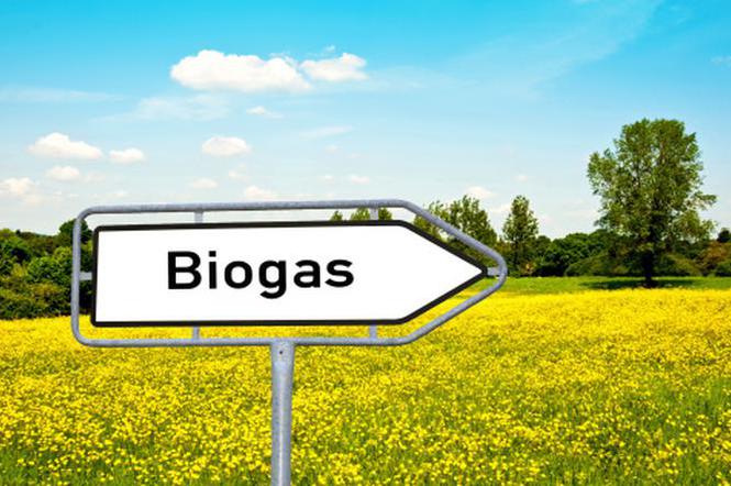 biogaz oze