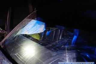 Samochód „wsypał” pijanego kierowcę. Żona wszystko potwierdziła  