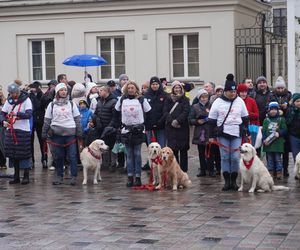 Golden Retriever WOŚP w Poznaniu