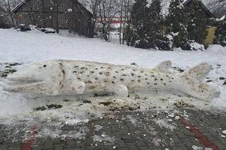 Ulepił ze śniego gigantyczne ryby