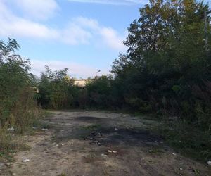 Teren, na którym wyrzucono ubrania został posprzątany
