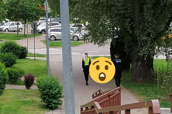 Tak wygląda pies policyjny z Podlasia. Nietypowy widok w Białymstoku