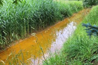 Wrocław. Zwłoki mężczyzny w rzece Steblówka. Na miejscu prokurator