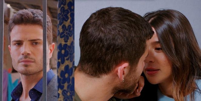 Miłość i nadzieja, odcinek 317. Ege, Cihan, Zeynep