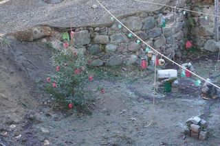 Pod Wysoką Bramą w Olsztynie „zamieszkały” skrzaty. Kim są Barstuki? [ZDJĘCIA]