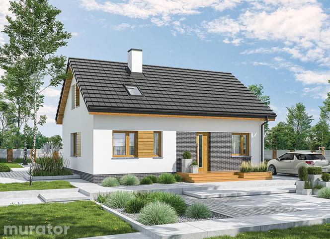 Projekty domów bez garażu