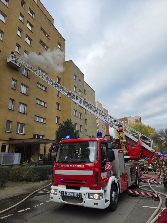 Bohaterska postawa strażaków z Krakowa. Uratowali zwierzęta z płonącego mieszkania