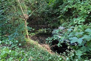 Fatalny błąd kierowcy seata! Nie opanował samochodu i wylądował w rowie