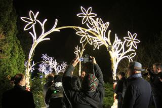 Park iluminacji „Tajemniczy Ogród” w Lublinie