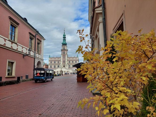 Jesienny Zamość