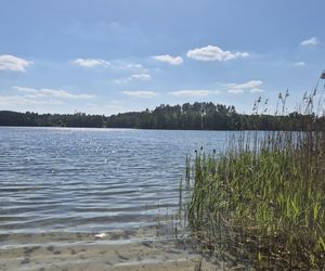 To jezioro w Olsztynie ma niezwykle czystą wodę. Jest kilka dzikich plaż, które świecą pustkami