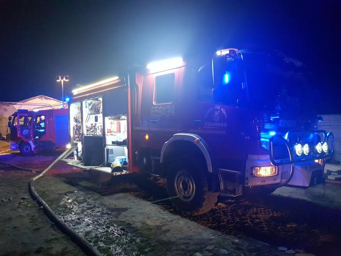 Pożar w chlewni w Dobrucie