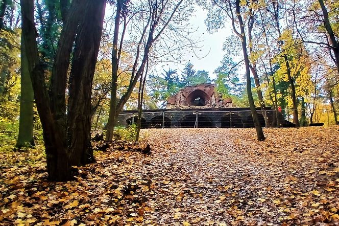 Porządkowanie terenu wokół wieży Quistorpa