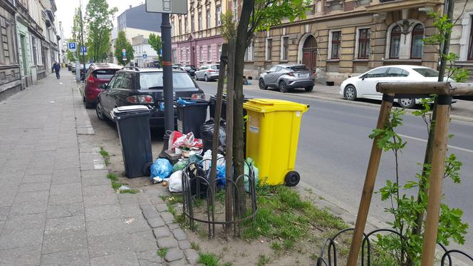 Bydgoszczanie mają już dość! Wciąż toną w śmieciach!