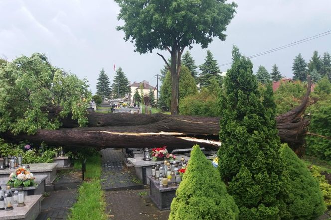 Burze i wichury do 110 km/h w prognozach! Synoptycy alarmują: Przebieg nawałnicowy