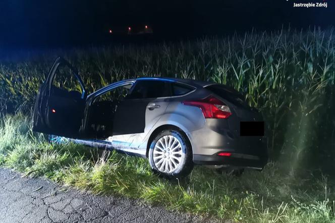 Wypadek w Jastrzębiu-Zdroju. Pijany wypadł samochodem z drogi. Auto samo powiadomiło służby