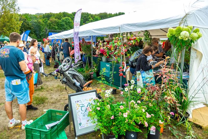 Wielki piknik kwietny finał 42. edycji konkursu „Warszawa w kwiatach”