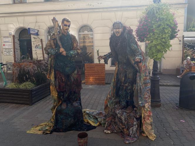 Busker Tour 2024 w Zielonej Górze