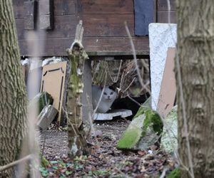 Spacer doliną Bystrzycy na lubelskim Wrotkowie