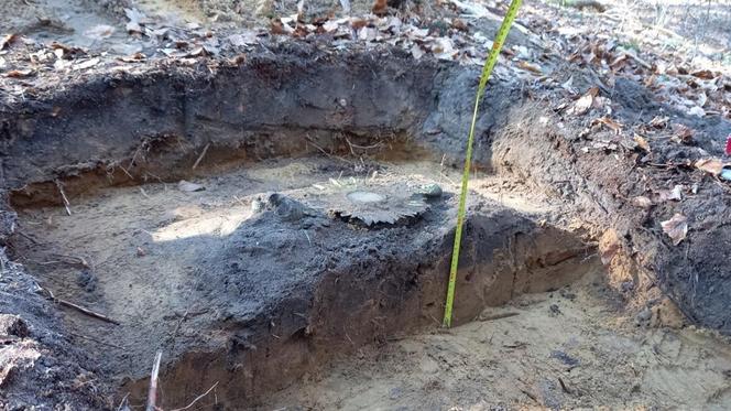  Monstrancję znaleziono w lesie 