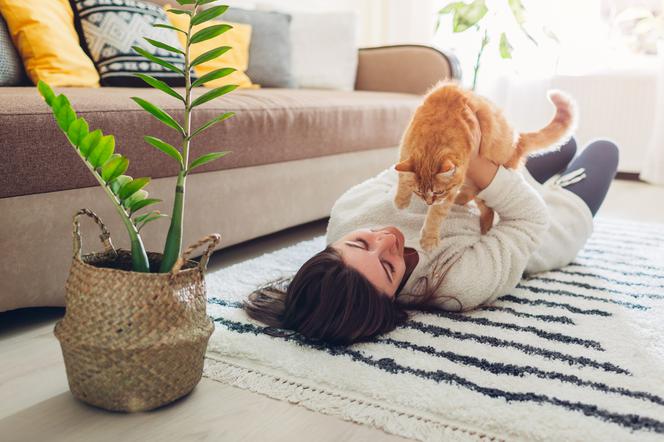 Mieszkanie z kotem może uchronić przed groźną infekcją? Jest jedno ale