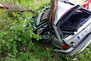 BMW owinęło się wokół drzewa. Przerażający wypadek koło Pisza [ZDJĘCIA]