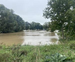 Ząbkowice Śląskie (woj. dolnośląskie)