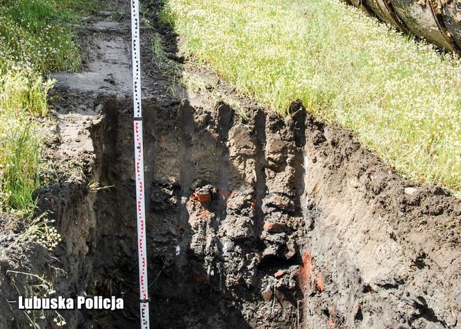 Zorganizowana grupa przestępcza zakopywała odpady w Przemęckim Parku Krajobrazowym