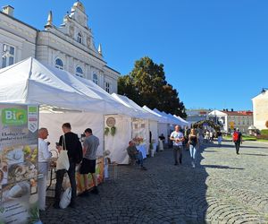 Festiwal Karpaty na Widelcu w Rzeszowie
