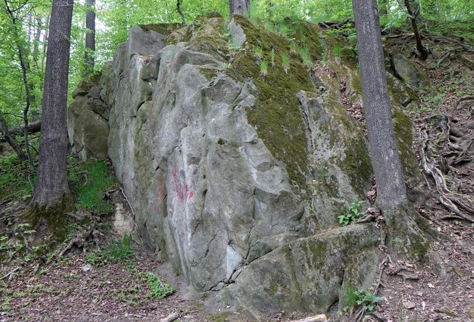 Rezerwat Grapa w Żywcu