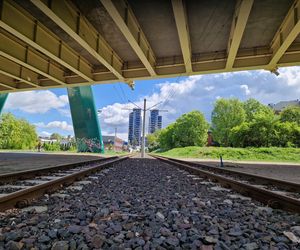 Torowisko tramwajowe na Babiej Wsi w Bydgoszczy zarośnięte chwastami. Tramwaje zniknęły stąd lata temu