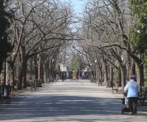 Park Dreszera