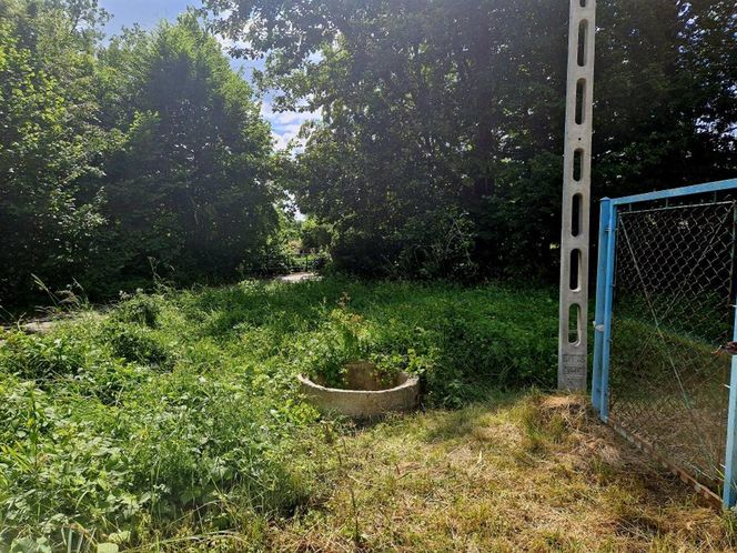 Druhowie z Iwonicza uratowali sarenkę. 