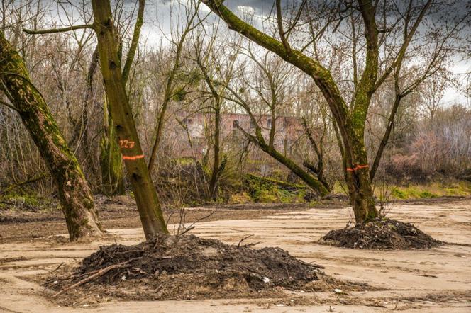 Na lewobrzeżu powstaje plaża miejska!