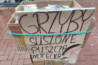 Suszone grzyby w Łodzi. Sprawdź, ile za nie zapłacisz