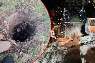 Koń wpadł do studni. Akcja ratunkowa trwała ponad 8 godzin