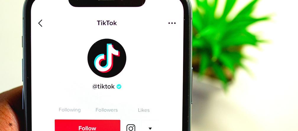 Interdiction d’utilisation de TikTok et Instagram pour les personnes de moins de 15 ans !  Les jeunes sont choqués !