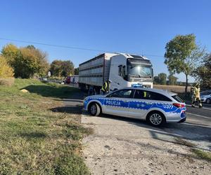 Rowerzystka wpadła pod ciężarówkę! Tragedia na DK 15 w Wielkopolsce