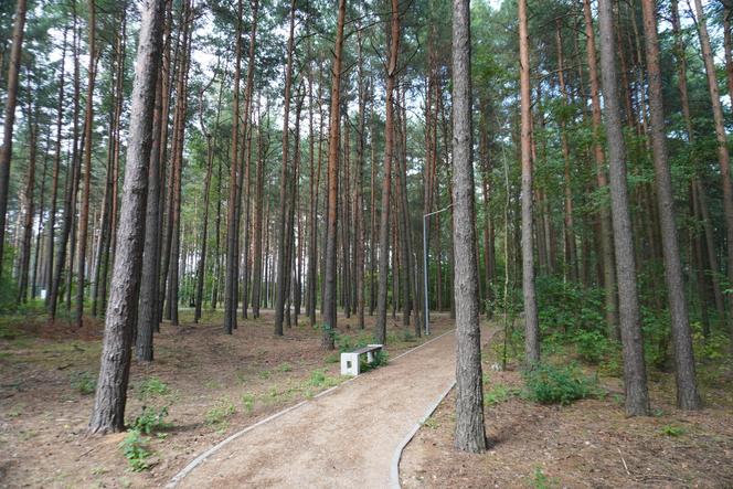 Podlaska Atlantyda, czyli Zalew Siemianówka i okolice