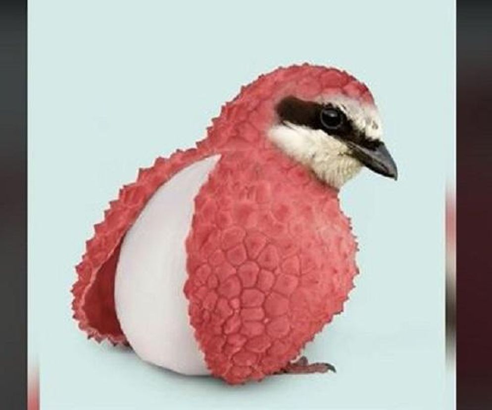 Czy zbyt bardzo poświęcasz się dla innych? Jedno spojrzenie zdradzi prawdę o Twojej osobowości. Psychologiczny test