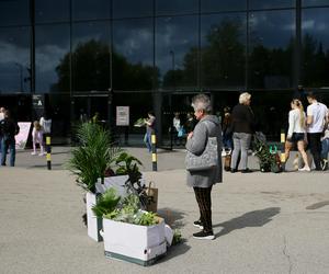Festiwal roślin w Katowicach przez weekend w MCK
